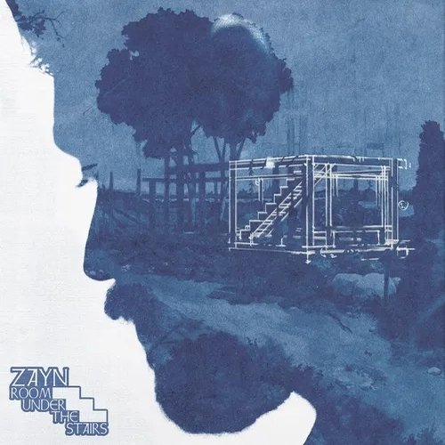  ROOM UNDER THE STAIRS [LP] - VINYL INTERNATIONAL SHIPPING
