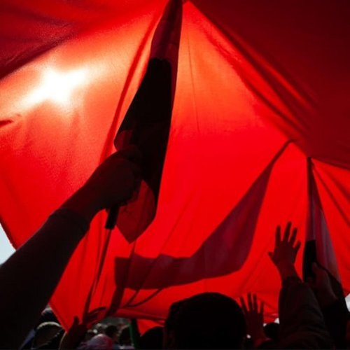 Raise a Symphony [LP] [VINYL]