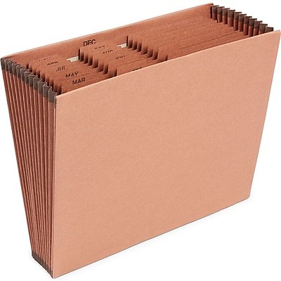 Staples - Heavy Duty Reinforced Accordion File, Monthly Index, 12-Pocket, Letter Size, (595369) - Brown