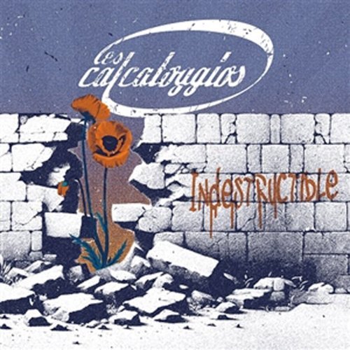

Indestructible [Translucent Orange Vinyl] [LP] - VINYL