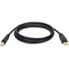 Tripp Lite - 15' USB Type A-to-USB Type B Cable - Black-Front_Standard