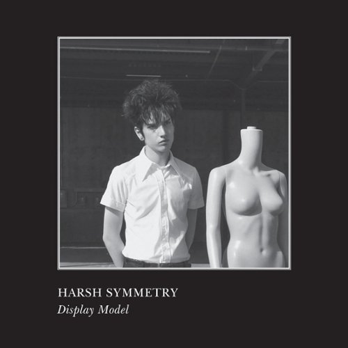

Display Model [LP] - VINYL