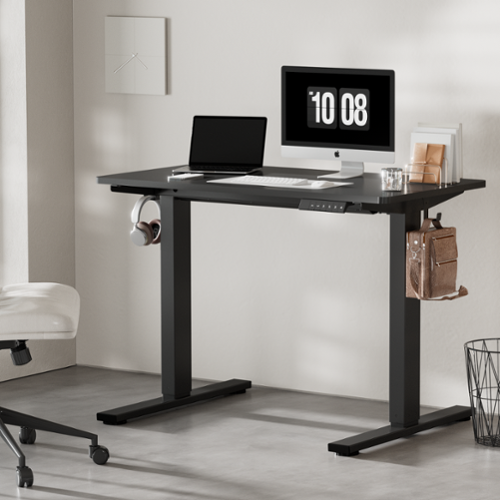 FlexiSpot E2 48''W x 30''D Electric Adjustable Standing Desk