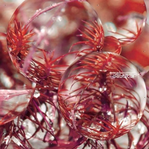 

Daystar [LP] - VINYL