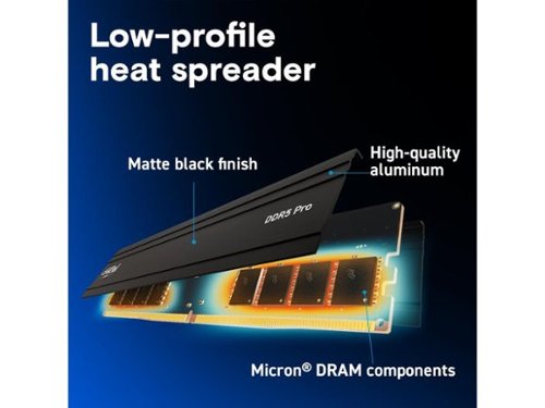 Crucial Pro 48GB (2 x 24GB) DDR5 5600 (PC5 44800) XMP 3.0 & AMD