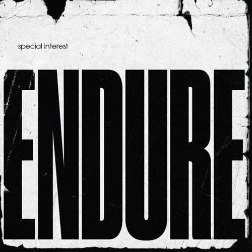 Endure [LP] - VINYL