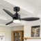 Breezary - 42" Modern Indoor Ceiling Fan, 3 ABS Blades, 6-Speed DC Motor, Remote Control, Timer, 5'' Downrod, Light/No Light Option - Black (With Light)-Front_Standard