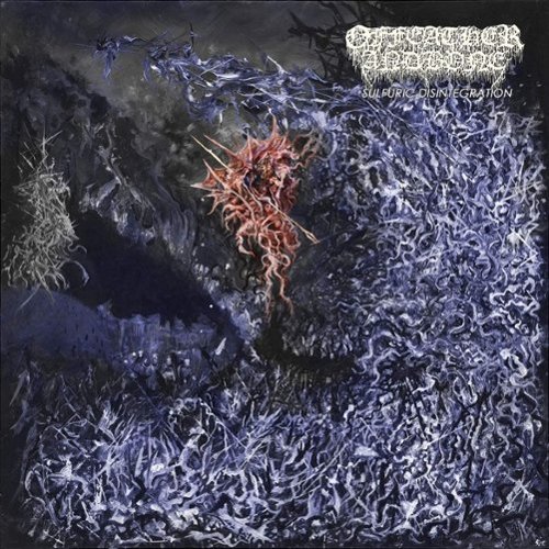 Sulfuric Disintegration [LP] [VINYL]