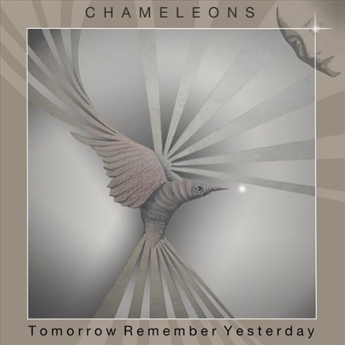 Tomorrow, Remember Yesterday [12 inch Vinyl Single]