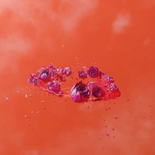 

The Living World's Demands [LP] - VINYL