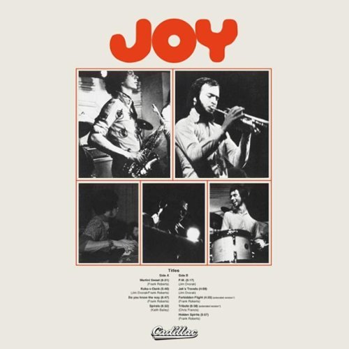 

Joy [LP] - VINYL