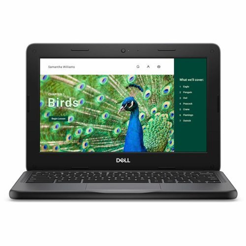 Dell - Chromebook 3000 3120 11.6" Clamshell Chromebook - HD - 60 Hz - Intel N-Series N100 - 8 GB - 64 GB Flash Memory - Gray-Front_Standard 