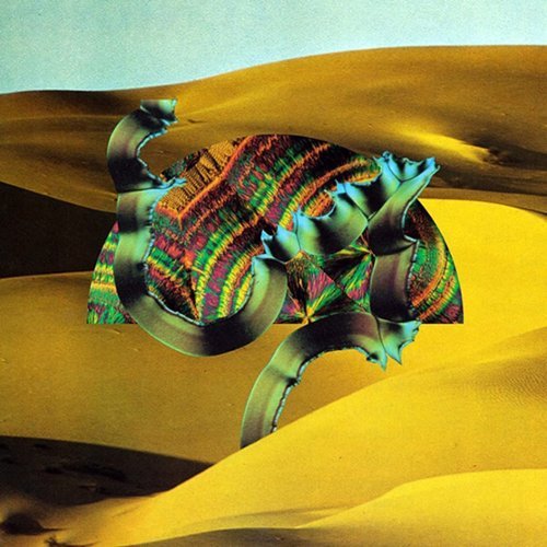 

Django Django [LP] - VINYL