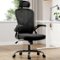 Trinkets Crazed - Ergonomic Office Chair, Home Office Desk Chair with Headrest, High Back Computer Chair with Armrests - Black-Front_Standard