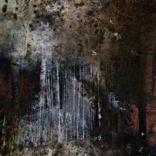 

Terrain [LP] - VINYL