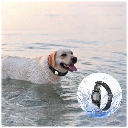 SaharaCase Nylon Dog Standard Collar with Apple AirTag slot - 14-in to 20-in Neck - Black BUY ONLINE
