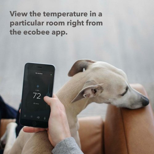 ecobee SmartSensor 2-Pack - Temperature & Occupancy Detection, Comfort, Security, Energy Savings - White WORLDWIDE DELIVERY