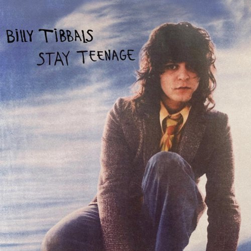 

Stay Teenage [LP] - VINYL