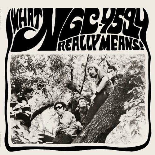 What NGC-4594 Really Means! [LP] - VINYL