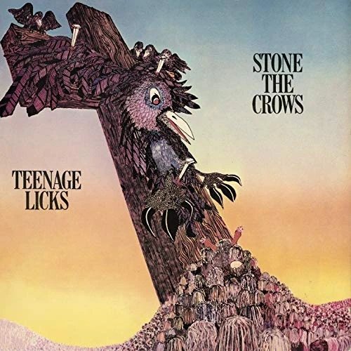 Teenage Licks [LP] [VINYL]