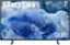 SAMSUNG QLED