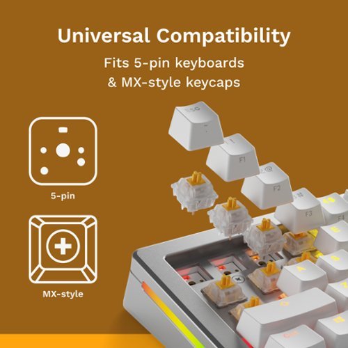 Glorious Silent Lubed Mechanical Keyboard 5-pin Hot Swappable Switches (36x) - Tactile - Panda HOW TO BUY