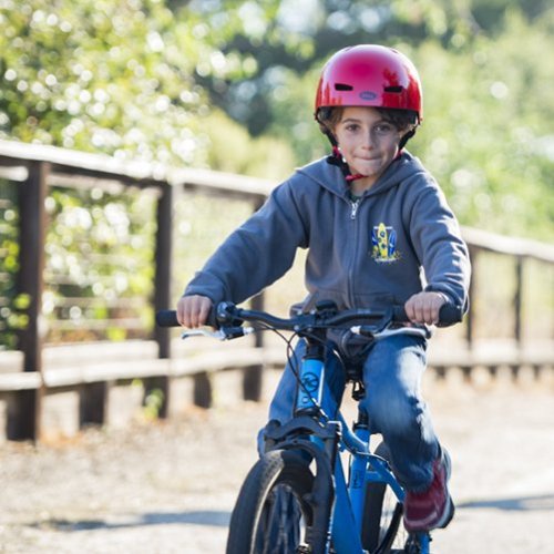 Bell Ollie Helmet for Bike and Scooter - Toddler - Machine Red HOW TO BUY