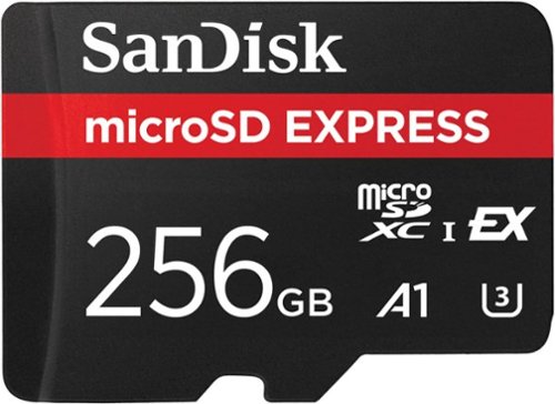 SanDisk - Express 256GB microSD PCIe 3.1 NVMe UHS-I  Memory Card