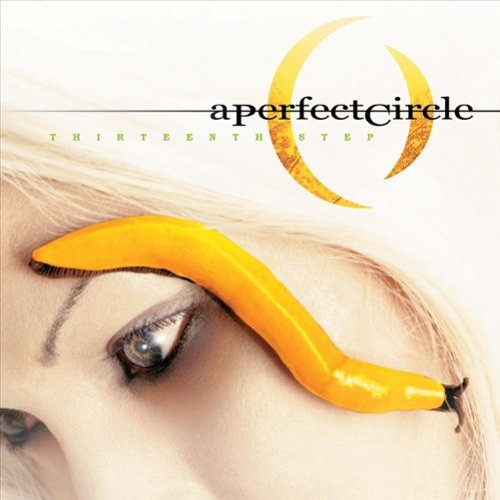 Thirteenth Step [LP] - VINYL INTERNATIONAL SHIPPING