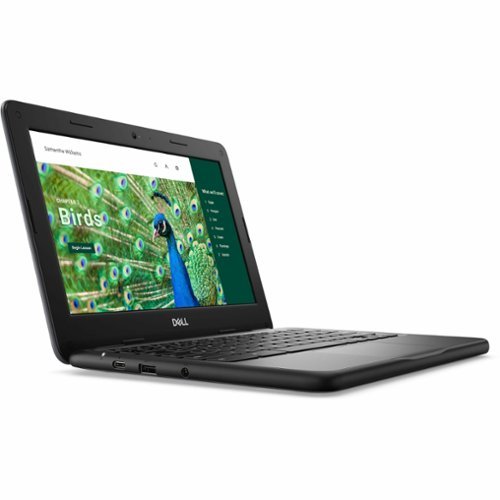 Dell Chromebook 3120 11.6 Touchscreen Laptop Intel N-Series N100 4GB 64GB EMMC - Gray BUY IN SINGAPORE