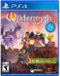 Wildermyth - PlayStation 4-Front_Standard