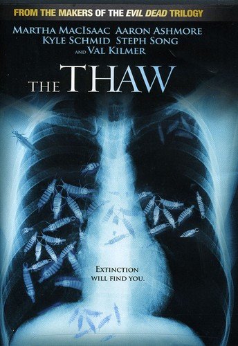  Thaw