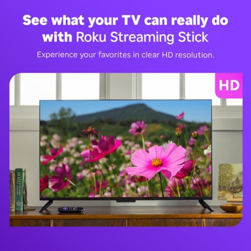 Roku Streaming Stick 2025 - HD Streaming Device for TV with Voice Remote - Black GLOBAL SHIPPING