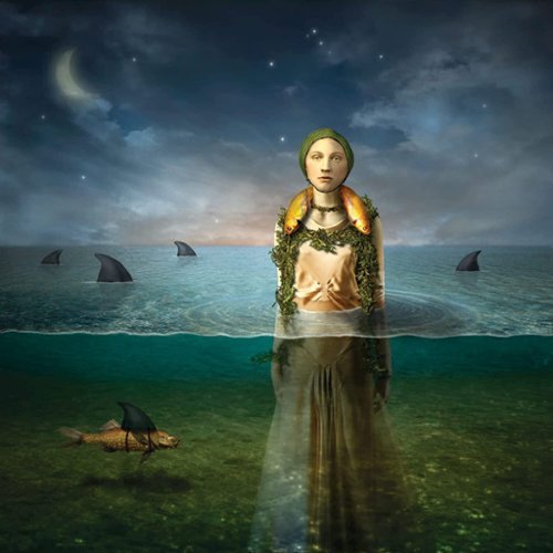  The Bled - Found In The Flood - VINYL LP