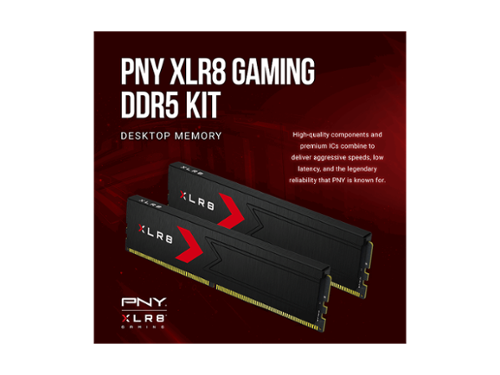 PNY XLR8 32GB (2 x 16GB) DDR5 6000 (PC5 48000) Desktop Memory