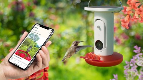 Bird Buddy Smart Hummingbird Feeder with Solar Roof - White BUY IN UAE