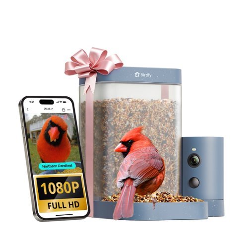 BIRDFY - Smart Bird Feeder Rookie, 1080P HD, 60FPS High-Frame Video for Slow-Motion, 7-Day Free AI Trial, Night Vision - Blue-Front_Standard 