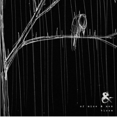 

Bloom [LP] - VINYL