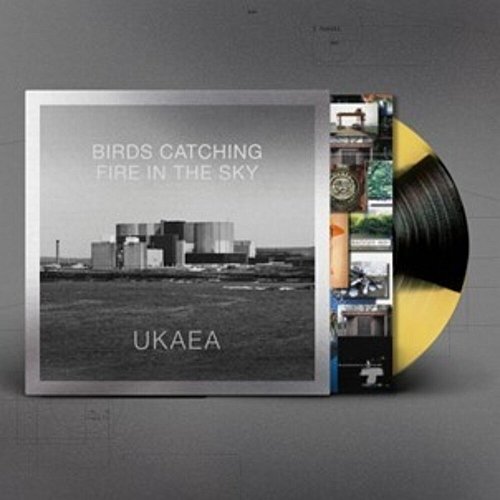 

Birds Catching Fire in the Sky [LP] - VINYL