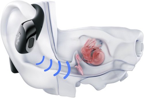 Shokz OpenFit 2+ Open-Ear True Wireless Bluetooth Earbuds - Black GLOBAL SHIPPING