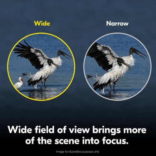 Nikon ACTION 12x50 Binoculars - Black SHOP ONLINE