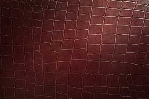 JennAir - Croc 24" Leather Cuts Collection Wine Column Panel - Red Croc-Front_Standard 