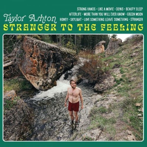 

Stranger to the Feeling [LP] - VINYL