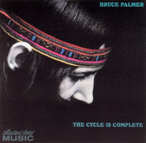 

The Cycle Is Complete [LP] - VINYL