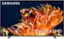 SAMSUNG Crystal UHD NANO CURVED