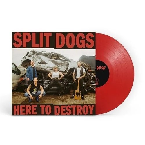 Here to Destroy [LP] [VINYL]