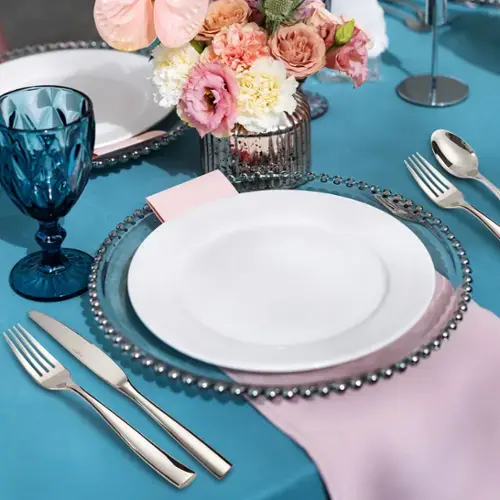 4 piece Dinner knife