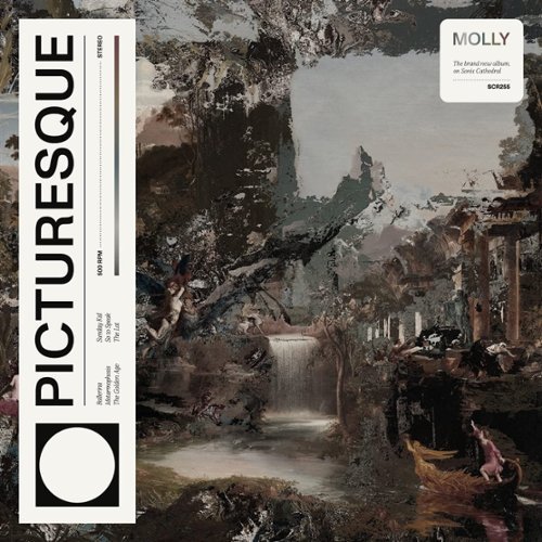 

Picturesque [LP] - VINYL