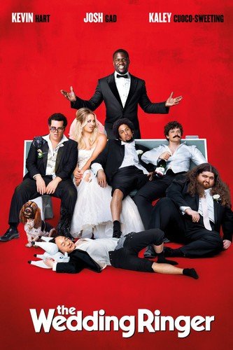  The Wedding Ringer [DVD] [2015]