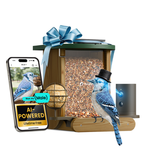 BIRDFY - Smart Bird Feeder Cedar D with Solar Panel, 1080P Camera, Lifetime Free AI Bird ID, Slow Motion, Night Vision, Durable - Brown-Front_Standard 